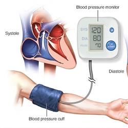 Tim mạch - huyết áp