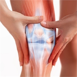 Hỗ Trợ Chức Năng Xương - Sụn Khớp