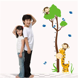 Hỗ Trợ Tăng Chiều Cao